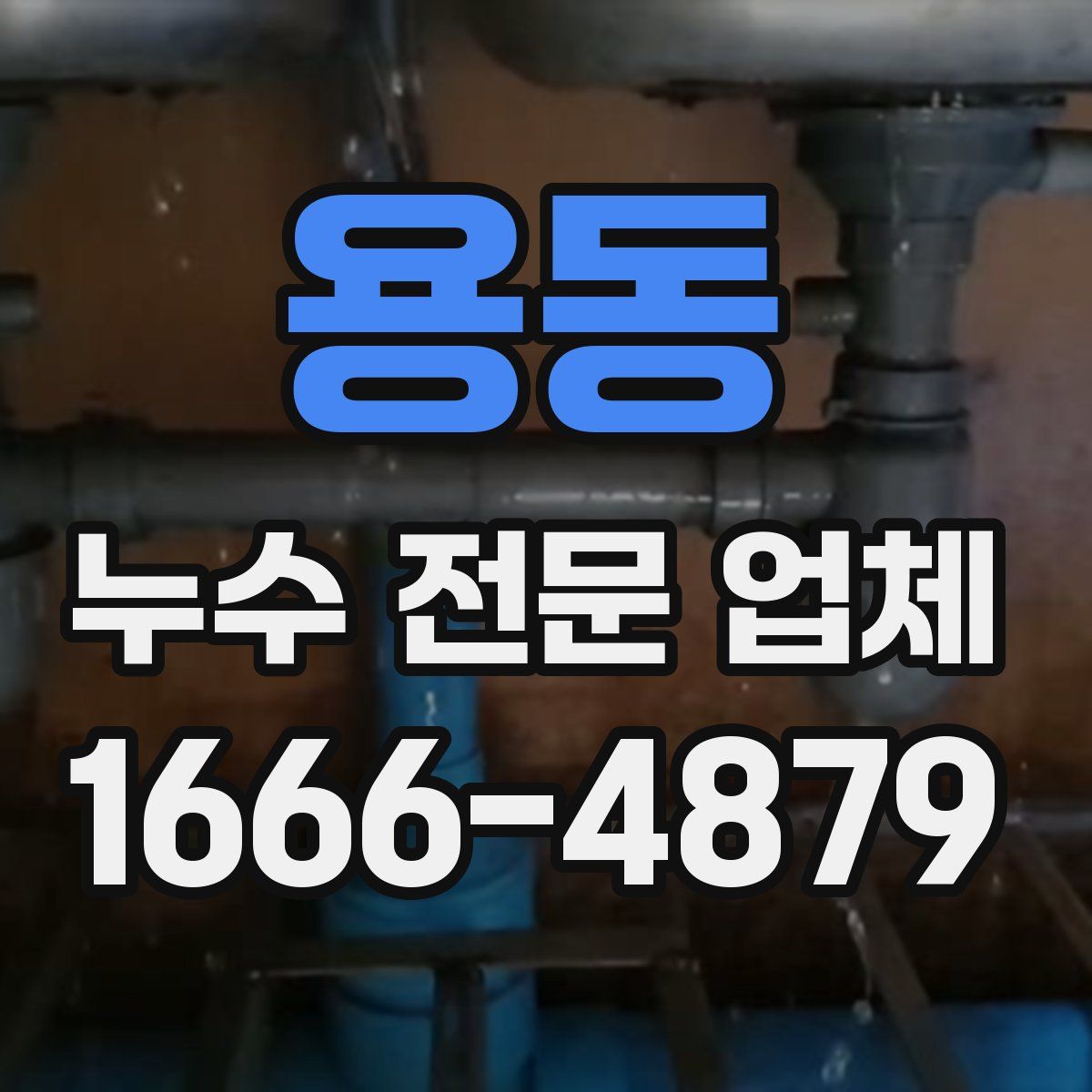 용동 누수 전문 업체