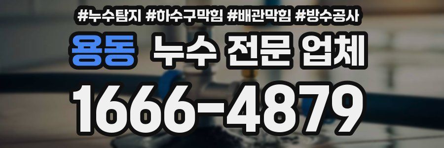용동 누수 전문 업체