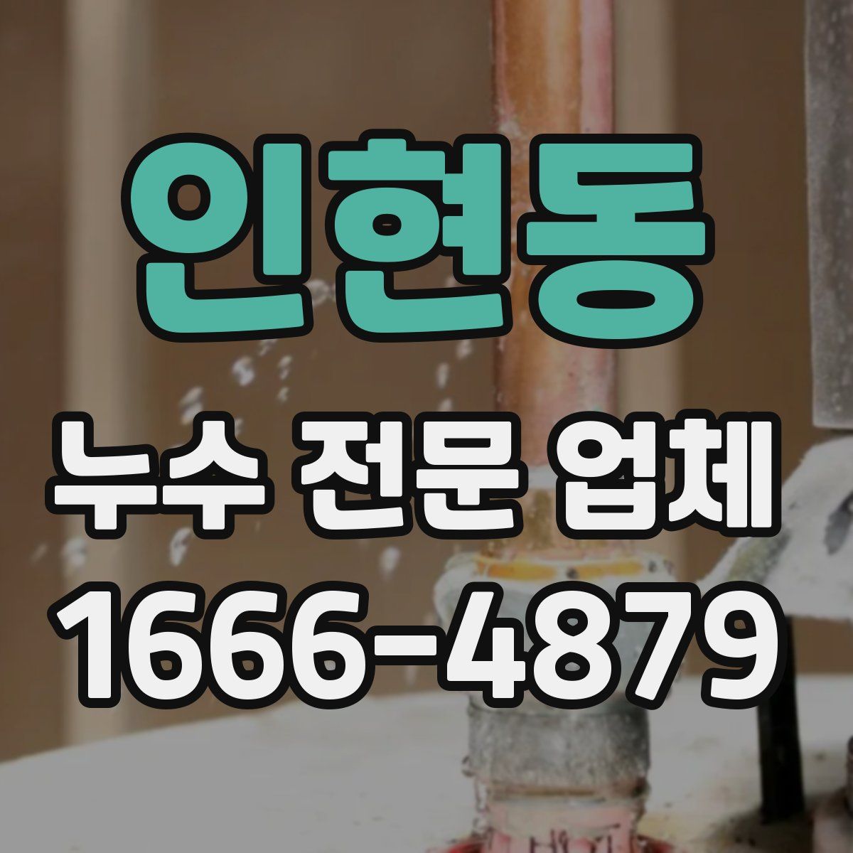 인현동 누수 전문 업체