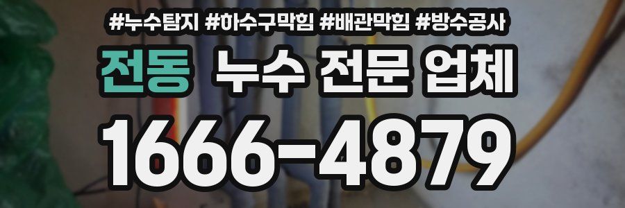전동 누수 전문 업체