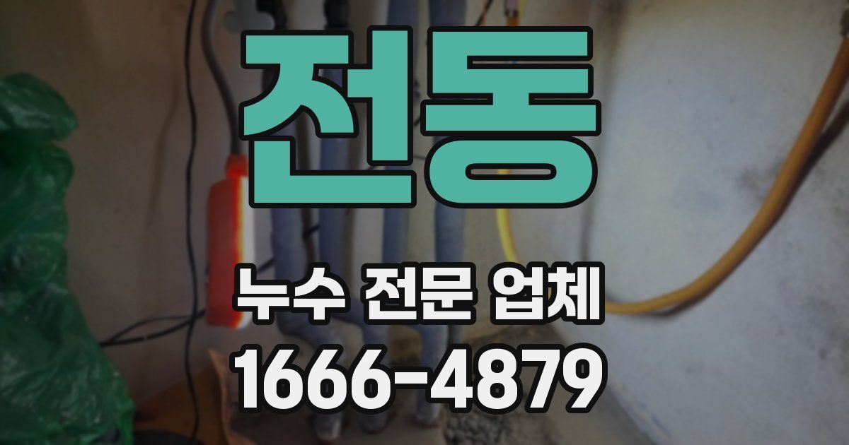 전동 누수 전문 업체