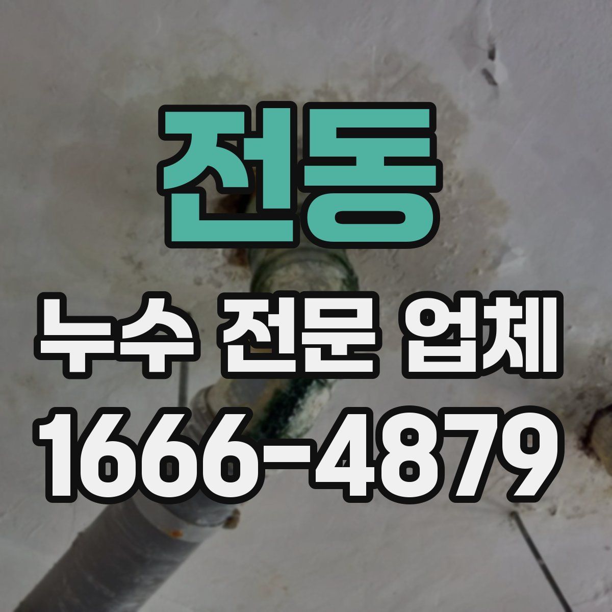 전동 누수 전문 업체