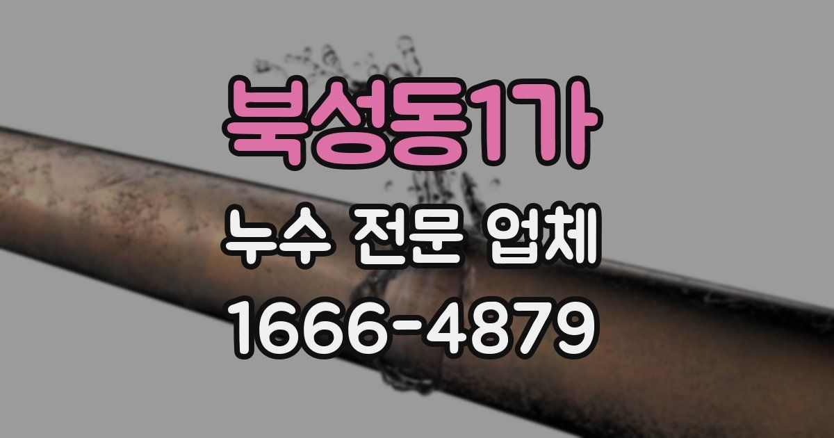 북성동1가 누수 전문 업체