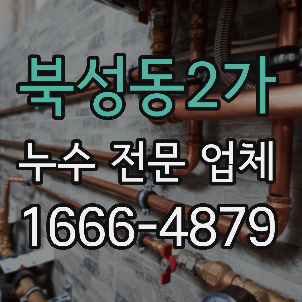 북성동2가 누수 전문 업체