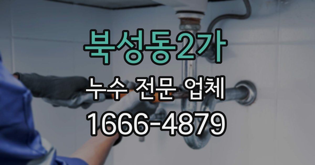 북성동2가 누수 전문 업체