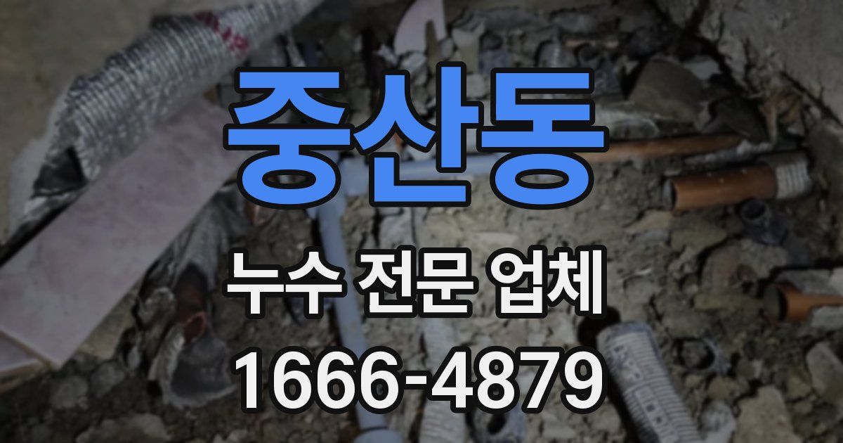 중산동 누수 전문 업체
