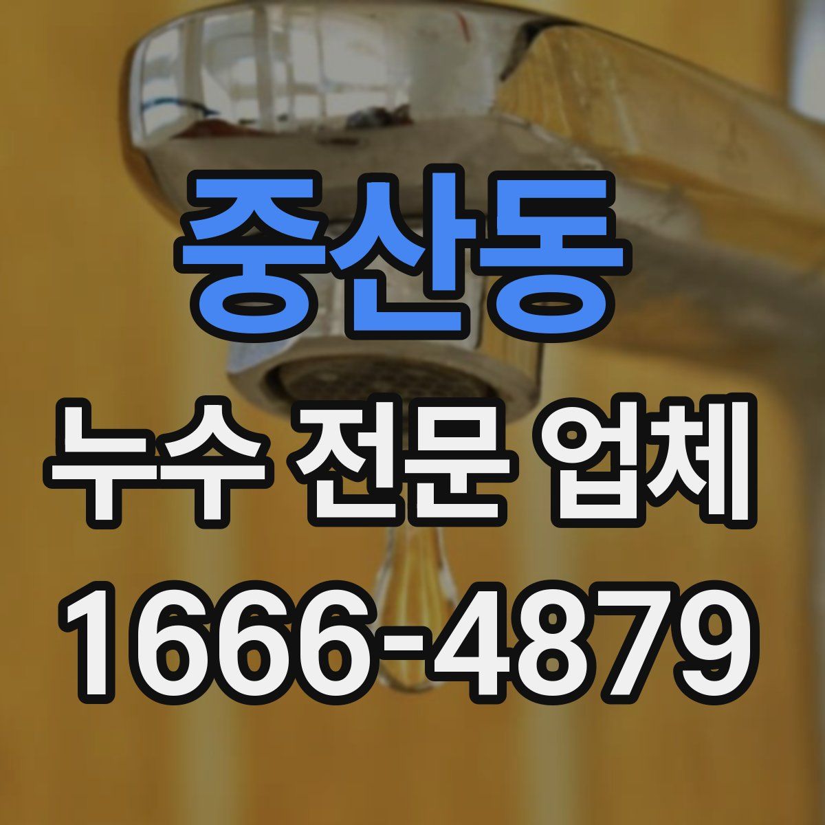 중산동 누수 전문 업체