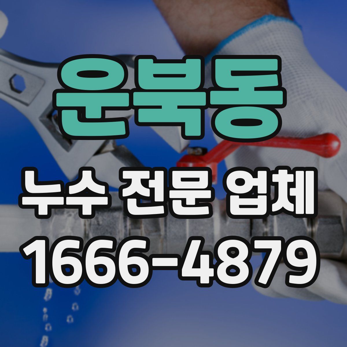 운북동 누수 전문 업체
