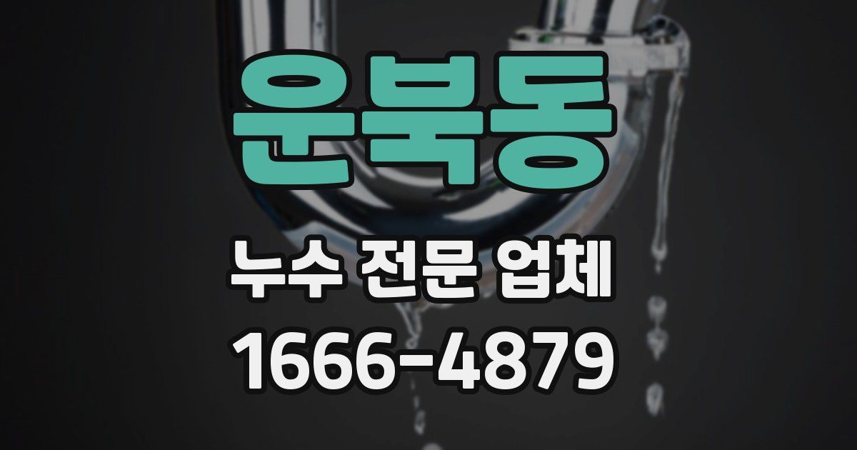운북동 누수 전문 업체