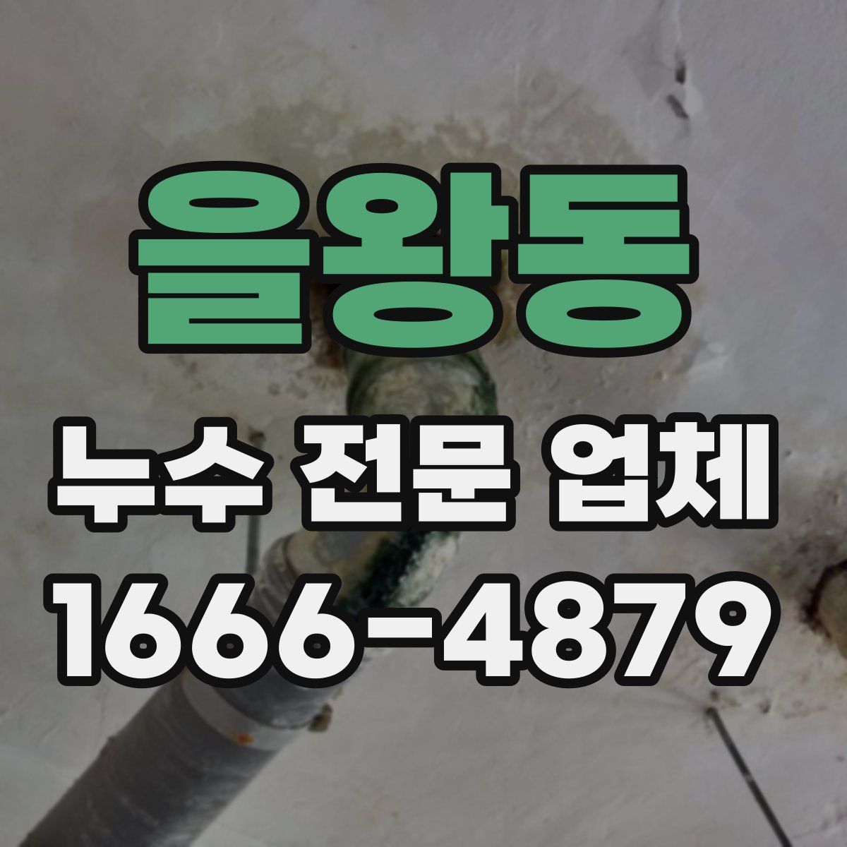을왕동 누수 전문 업체