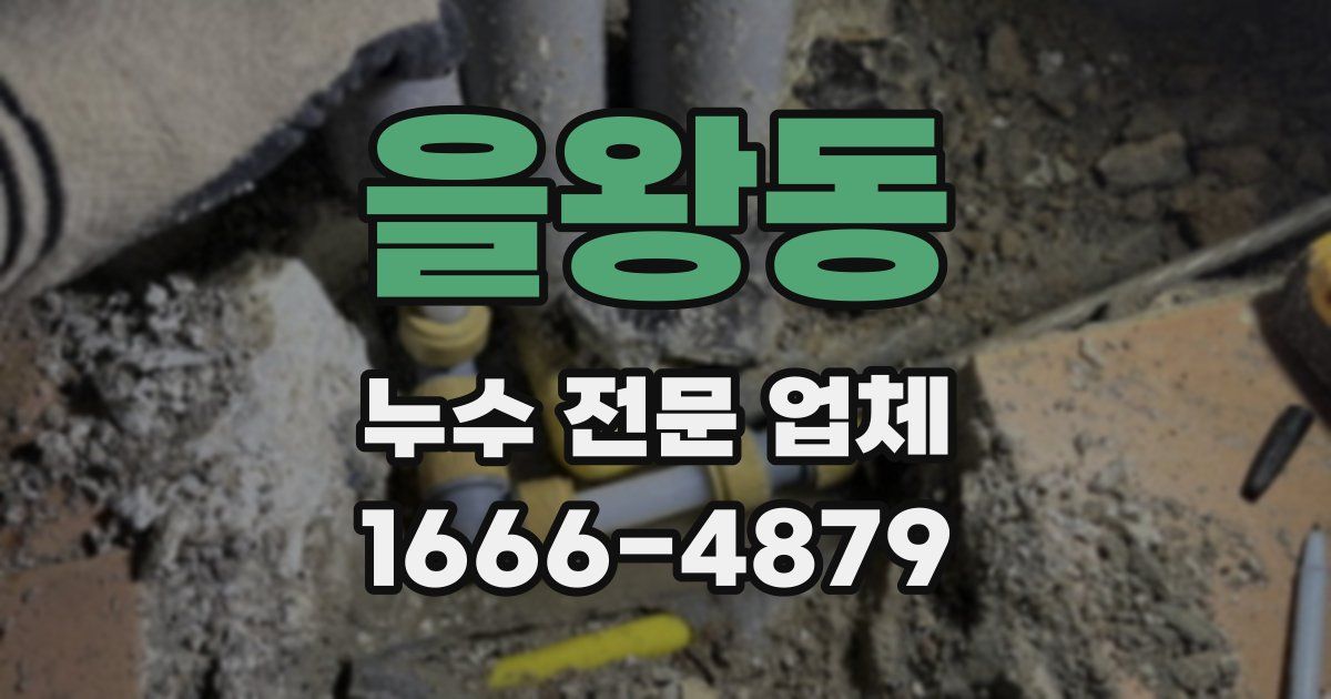 을왕동 누수 전문 업체
