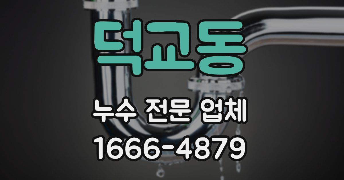 덕교동 누수 전문 업체