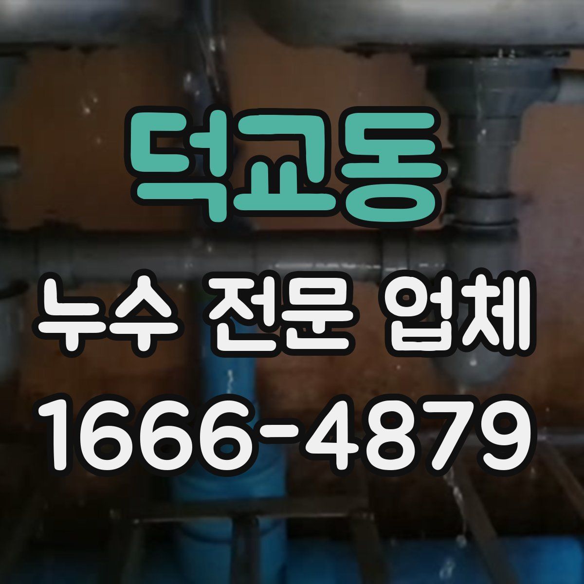 덕교동 누수 전문 업체