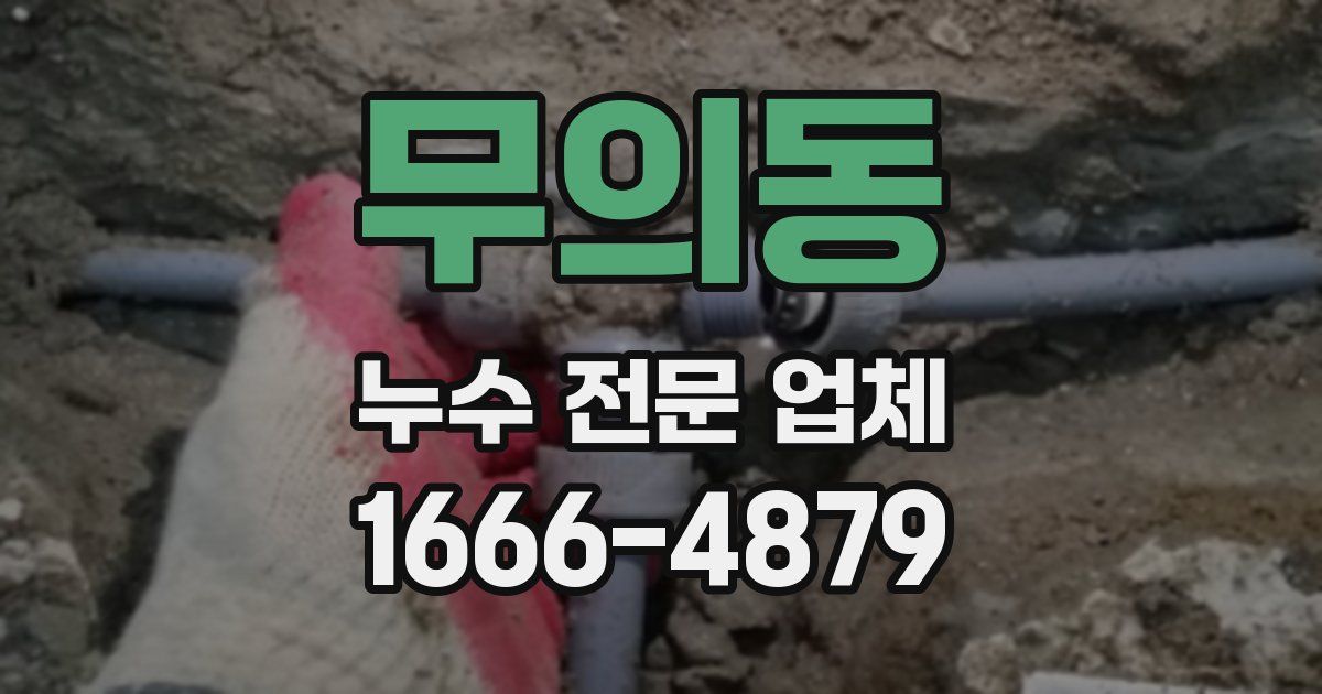 무의동 누수 전문 업체