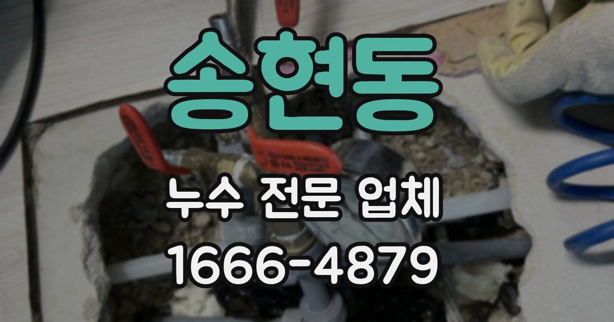 송현동 누수 전문 업체