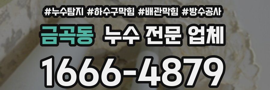 금곡동 누수 전문 업체
