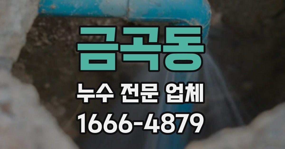 금곡동 누수 전문 업체
