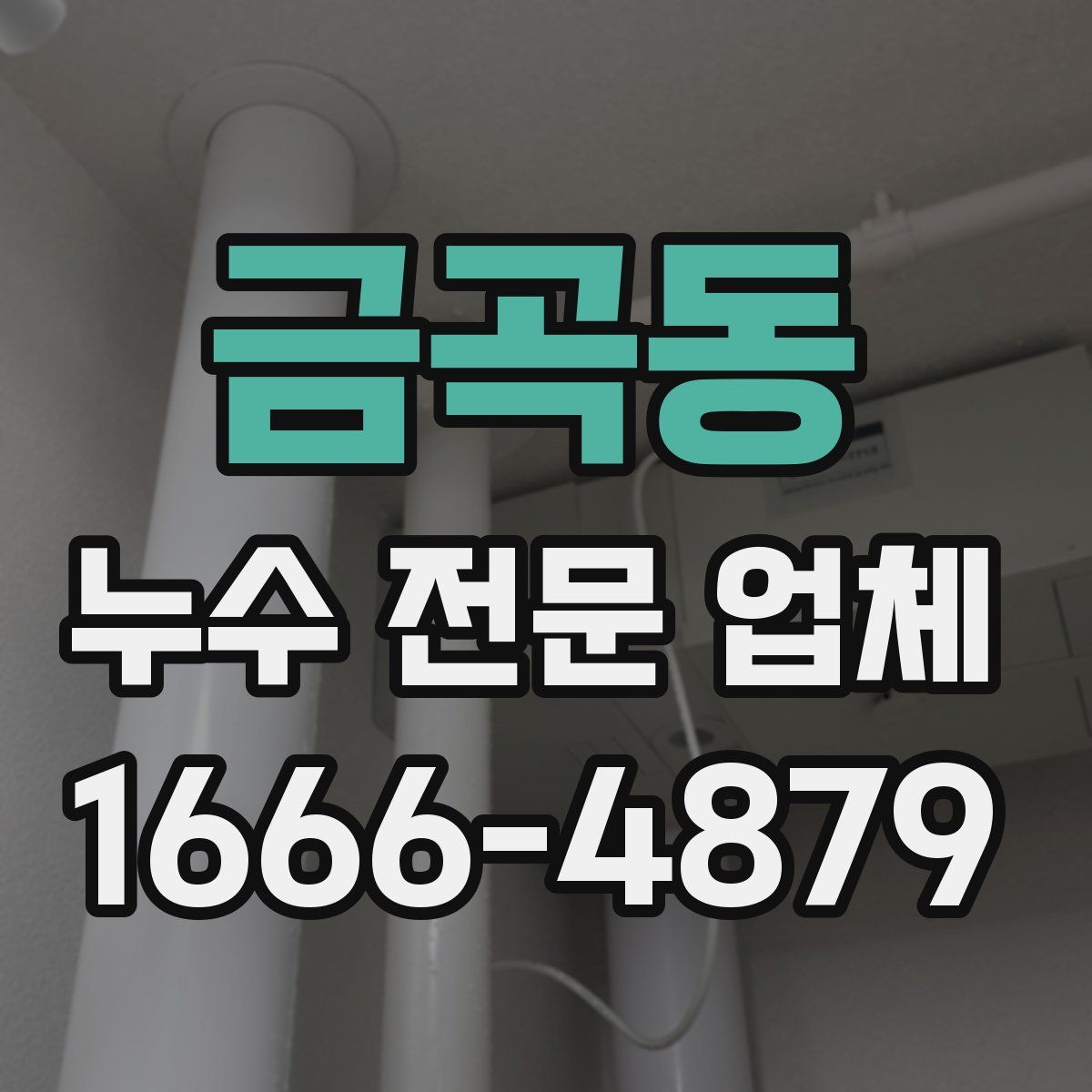 금곡동 누수 전문 업체