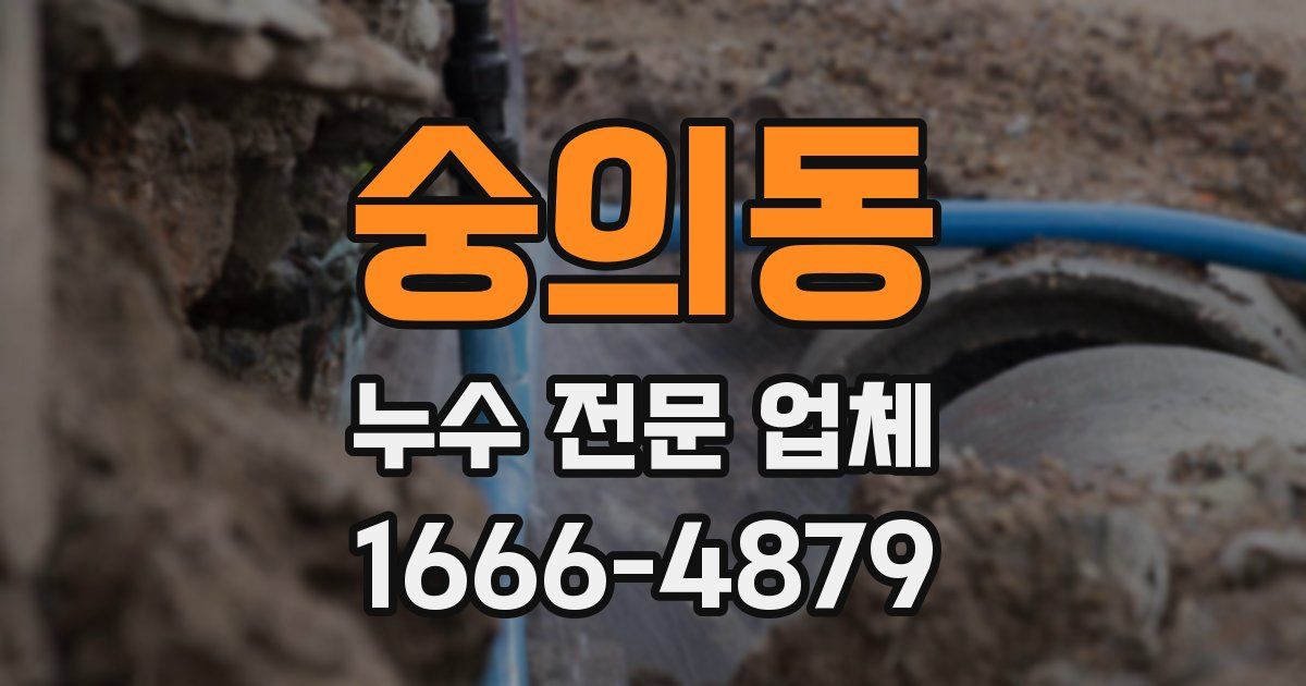 숭의동 누수 전문 업체