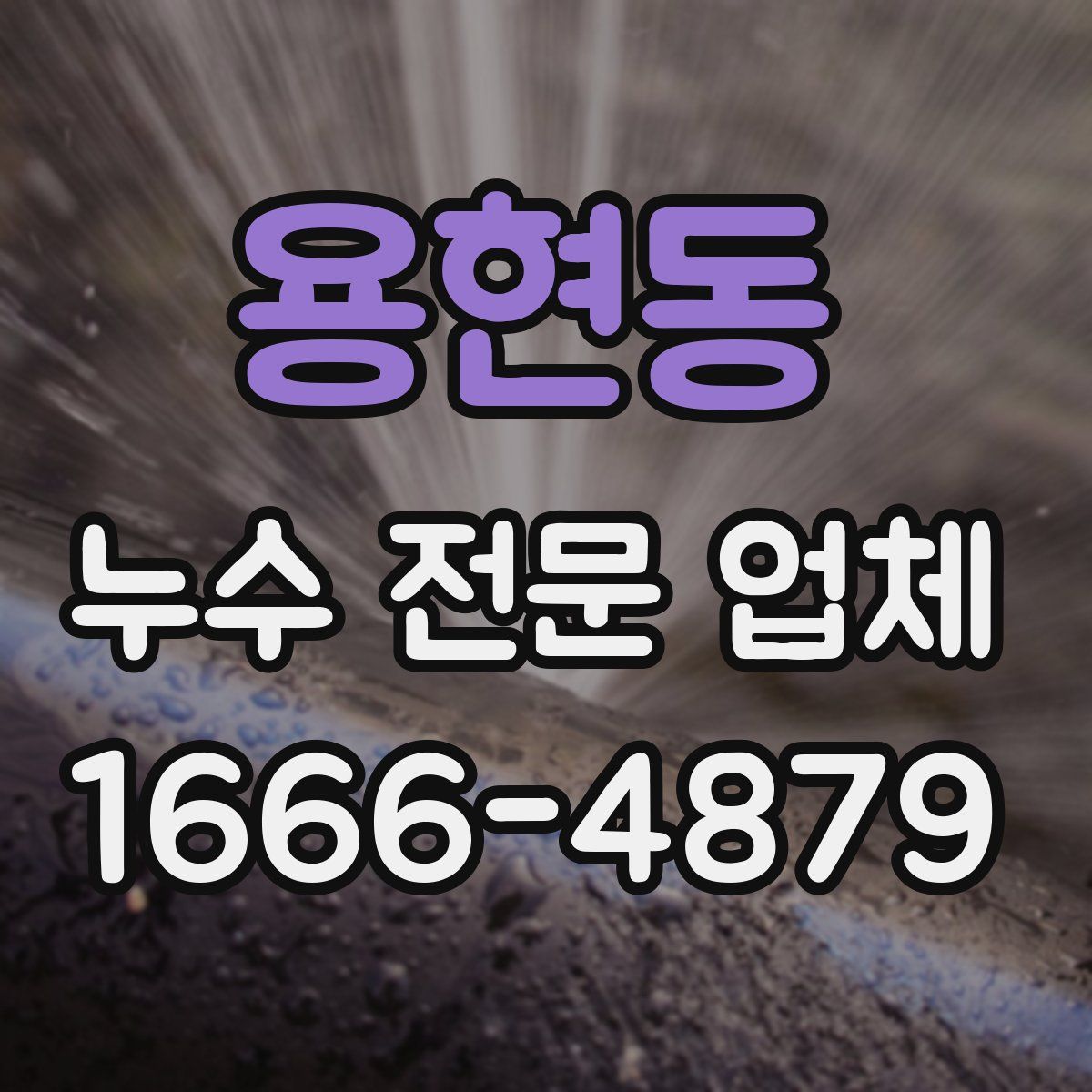 용현동 누수 전문 업체