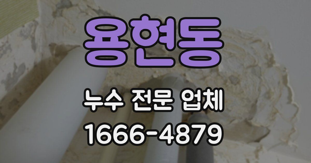 용현동 누수 전문 업체