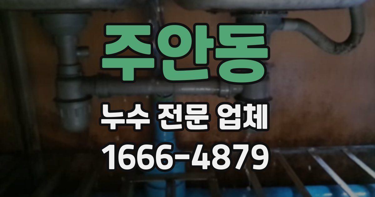주안동 누수 전문 업체