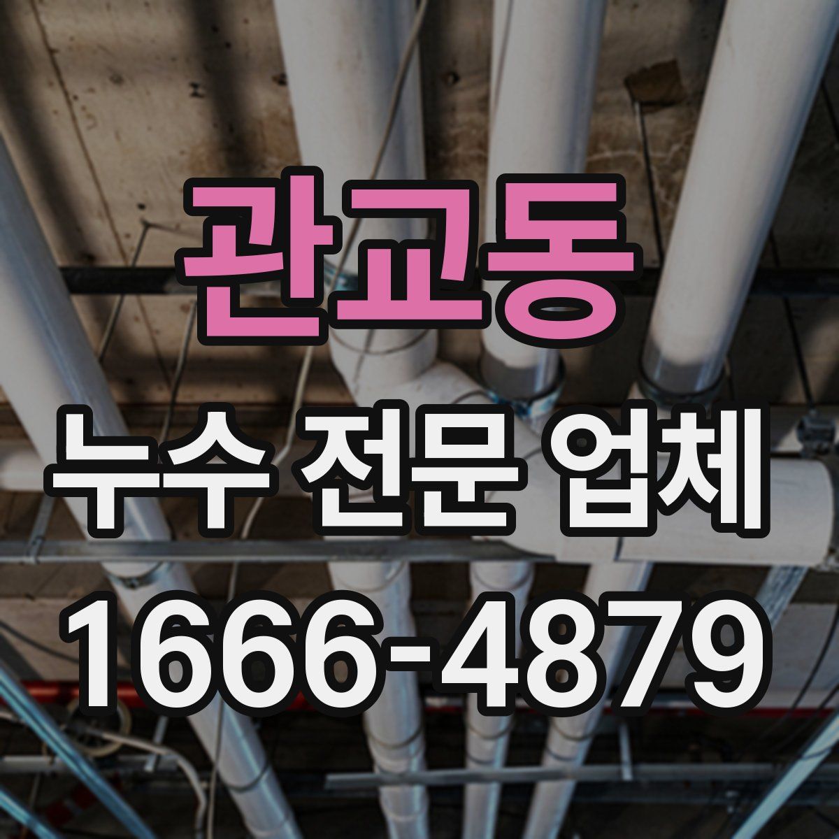 관교동 누수 전문 업체