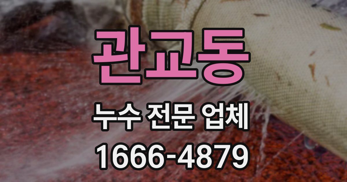 관교동 누수 전문 업체