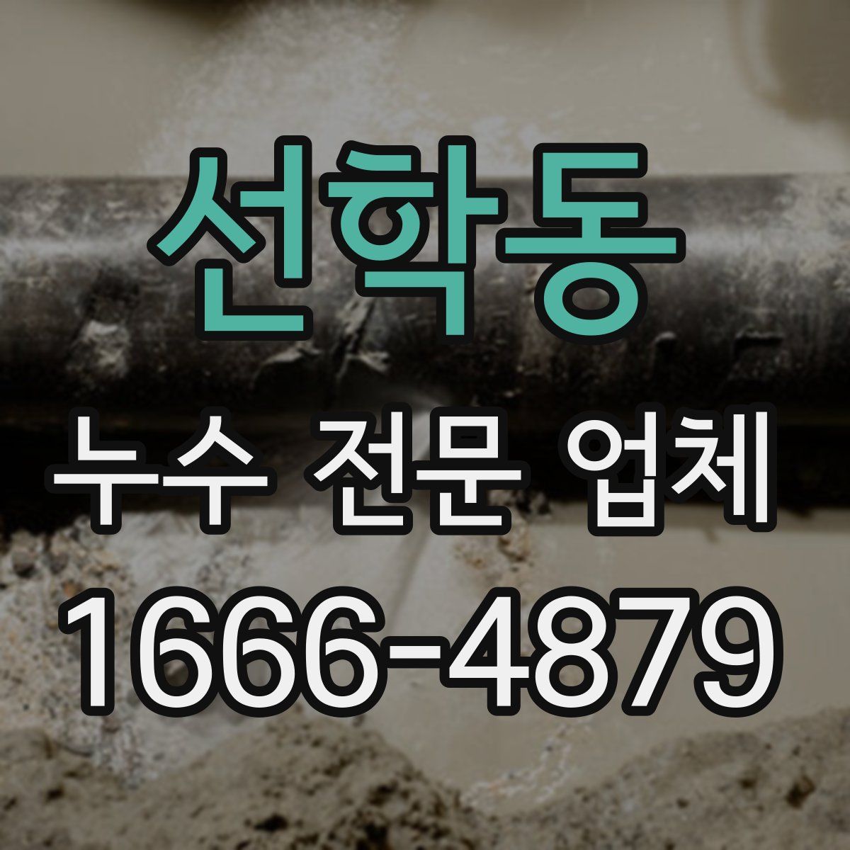 선학동 누수 전문 업체