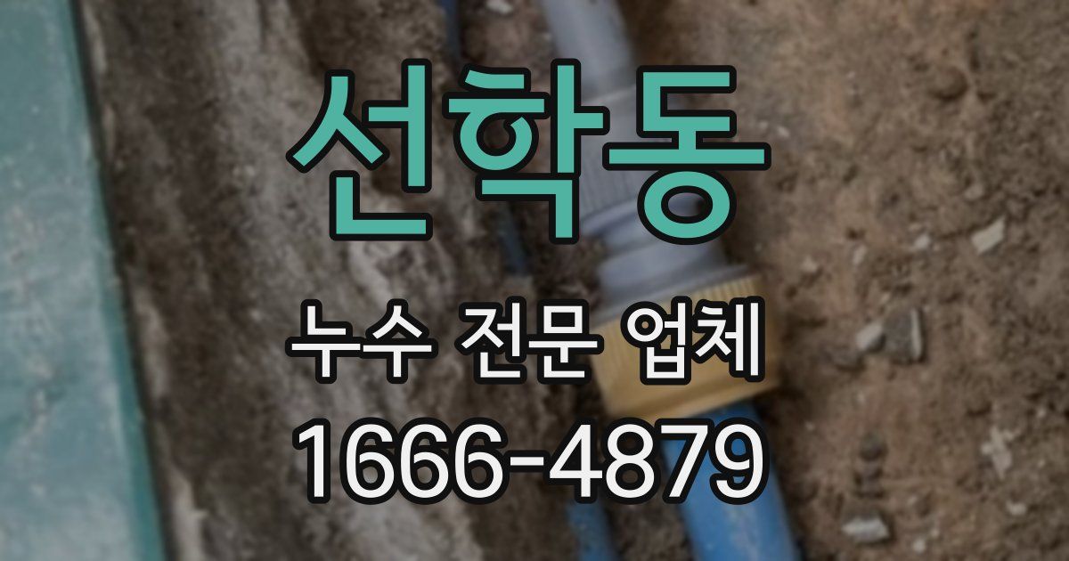 선학동 누수 전문 업체