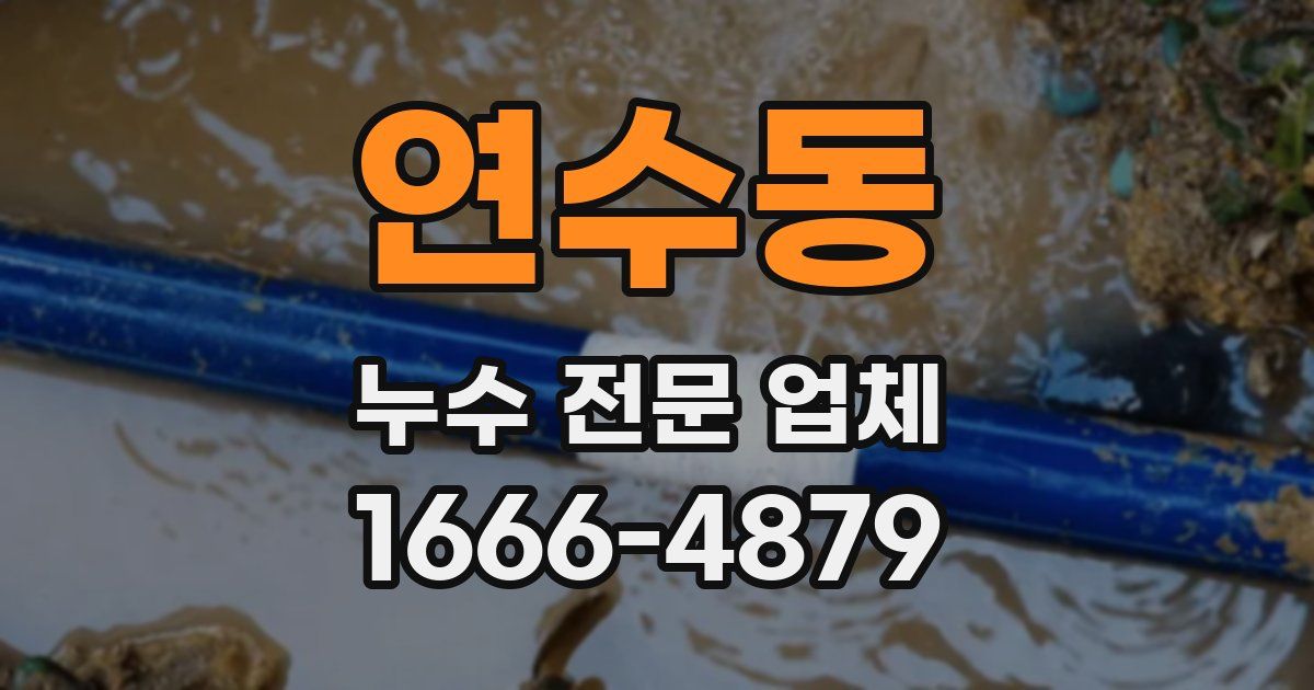 연수동 누수 전문 업체