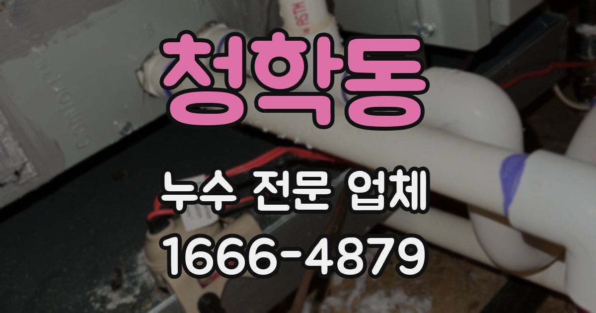 청학동 누수 전문 업체