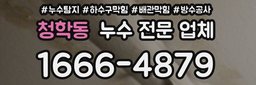 청학동 누수 전문 업체