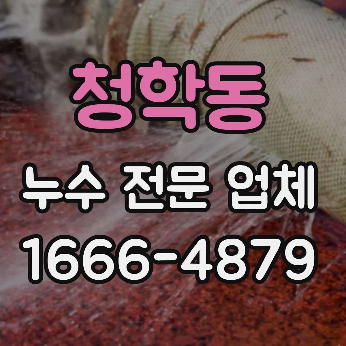 청학동 누수 전문 업체