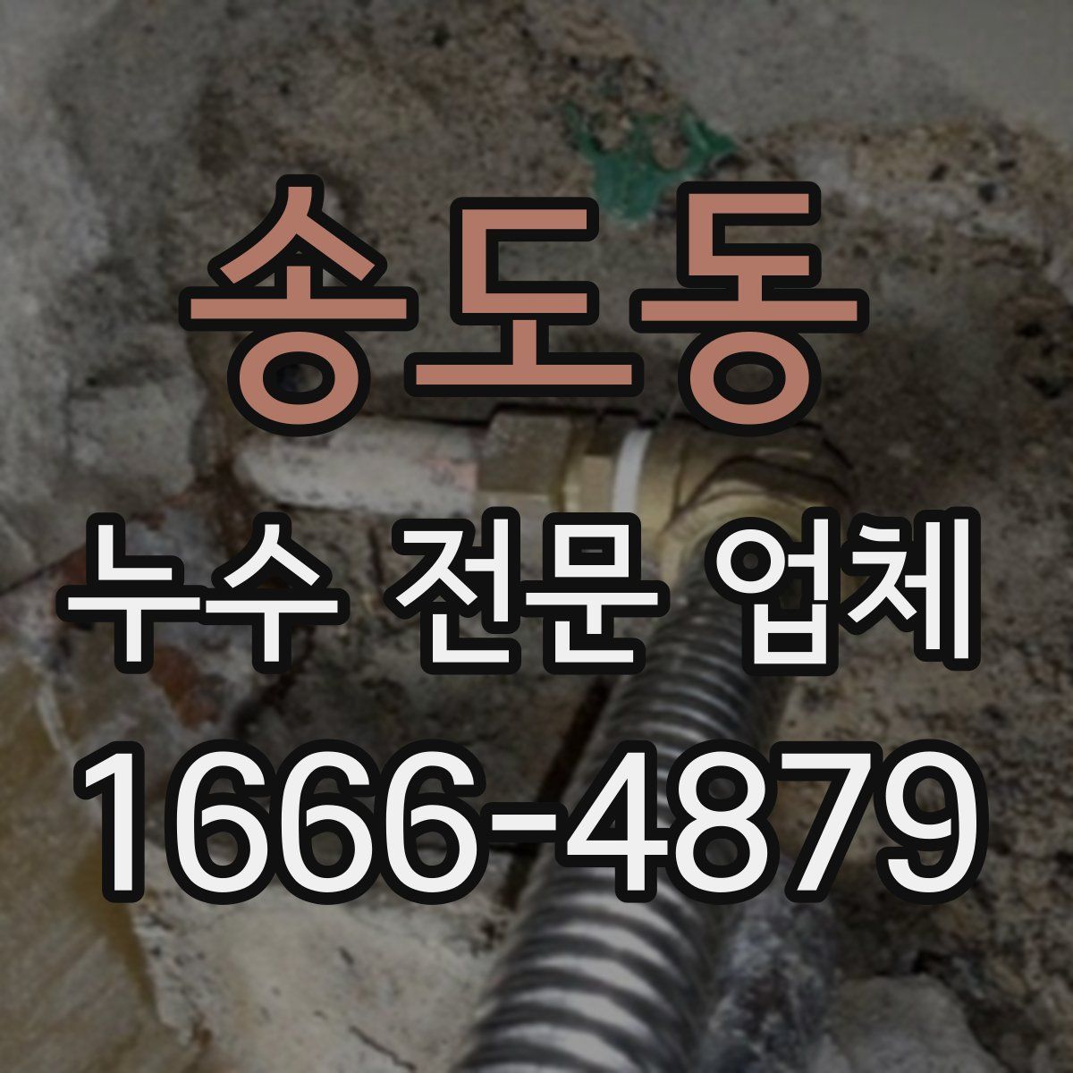 송도동 누수 전문 업체