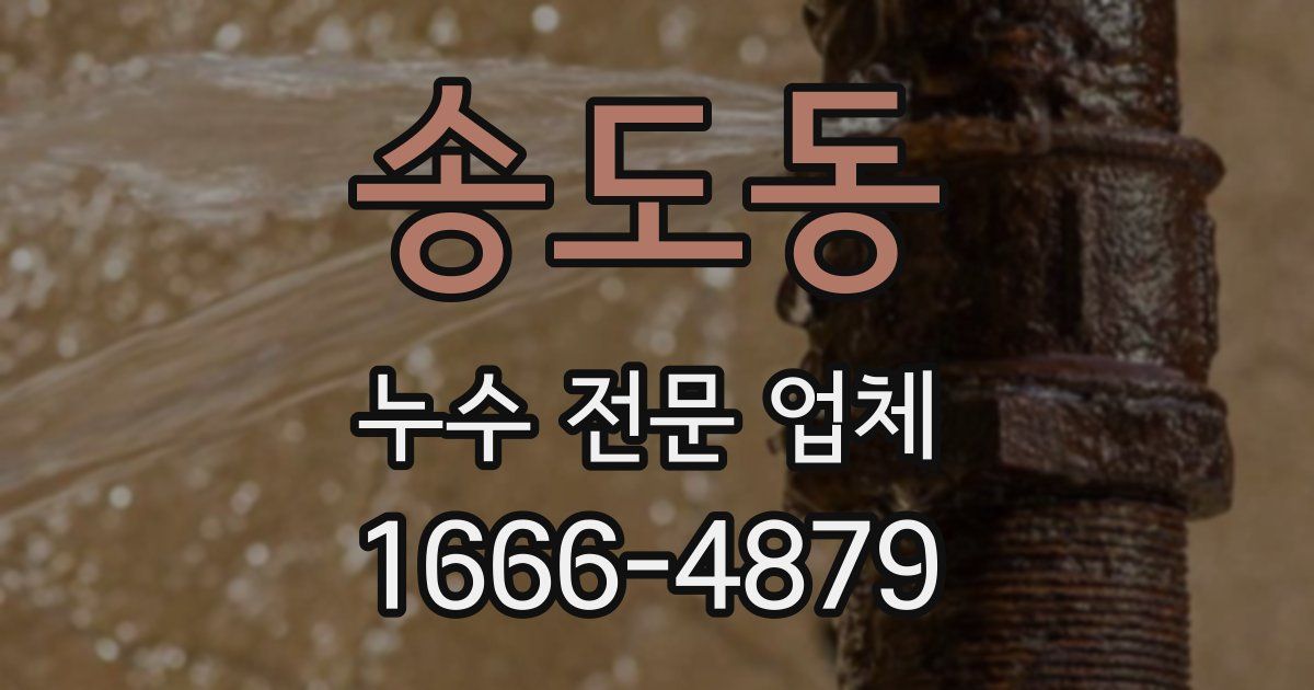 송도동 누수 전문 업체