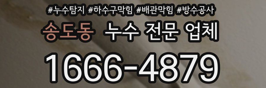 송도동 누수 전문 업체