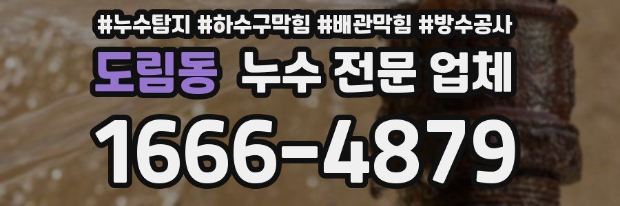 도림동 누수 전문 업체