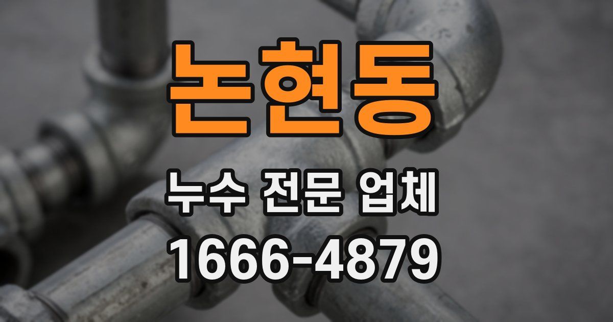 논현동 누수 전문 업체