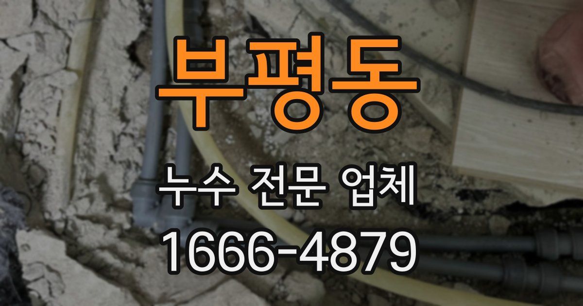 부평동 누수 전문 업체