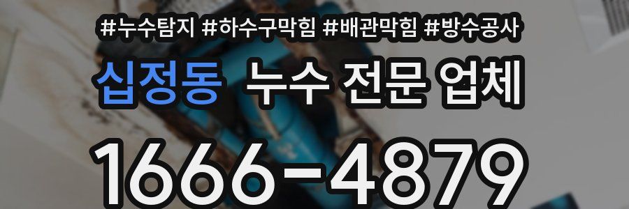 십정동 누수 전문 업체