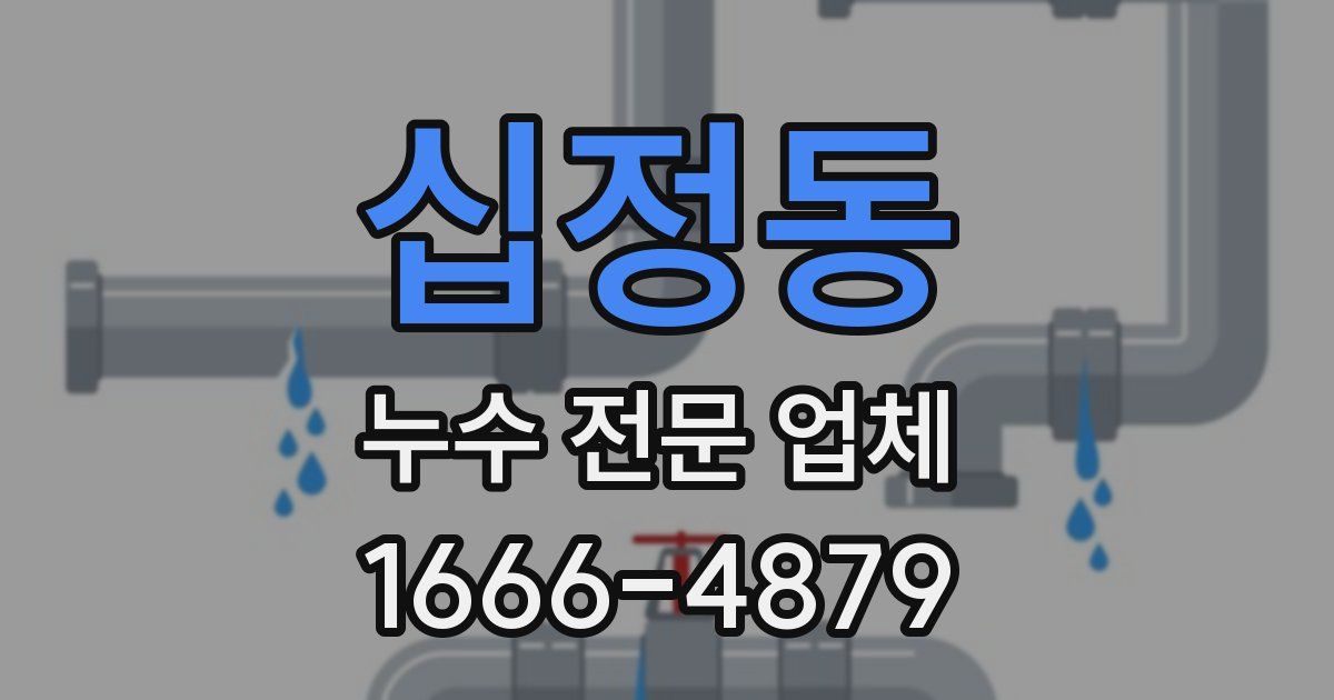 십정동 누수 전문 업체
