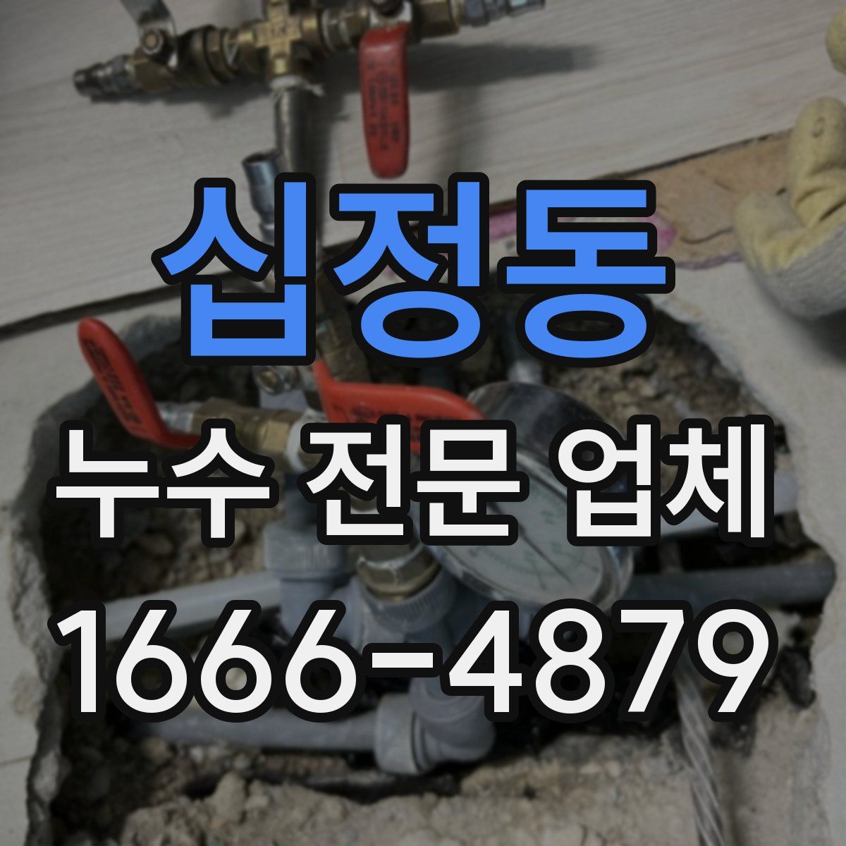 십정동 누수 전문 업체