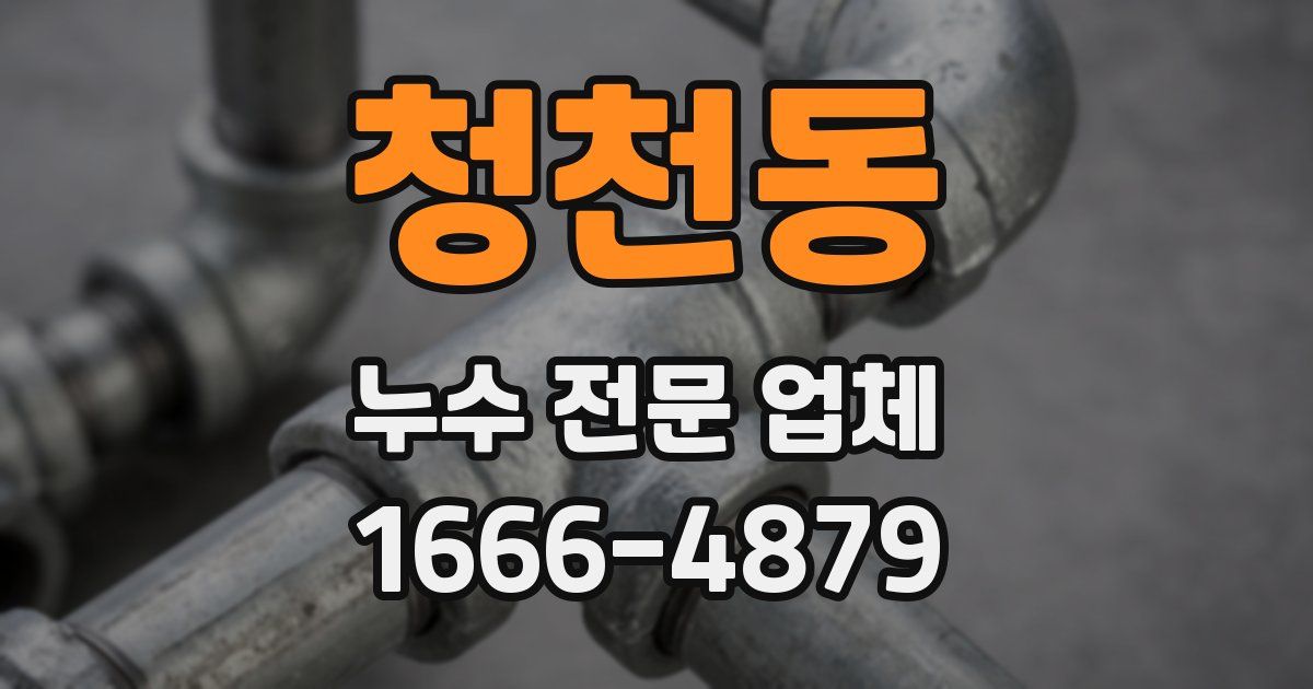 청천동 누수 전문 업체