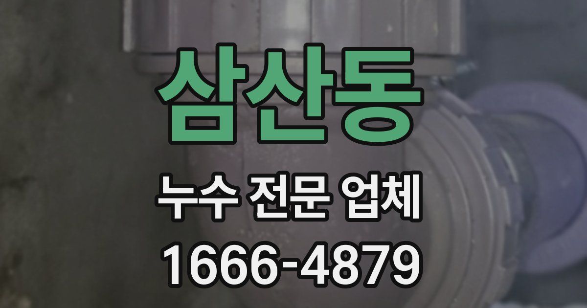삼산동 누수 전문 업체