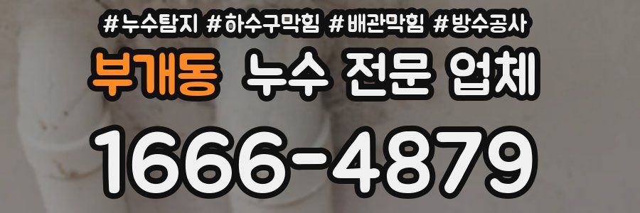 부개동 누수 전문 업체