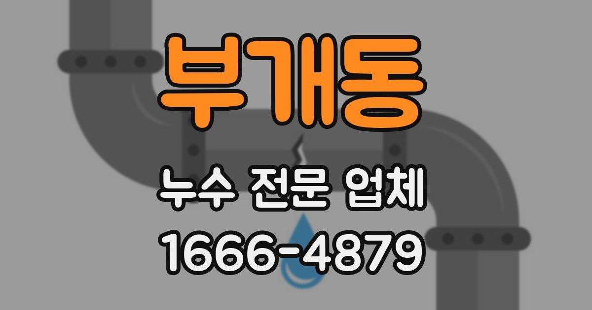 부개동 누수 전문 업체
