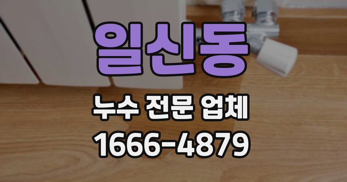 일신동 누수 전문 업체