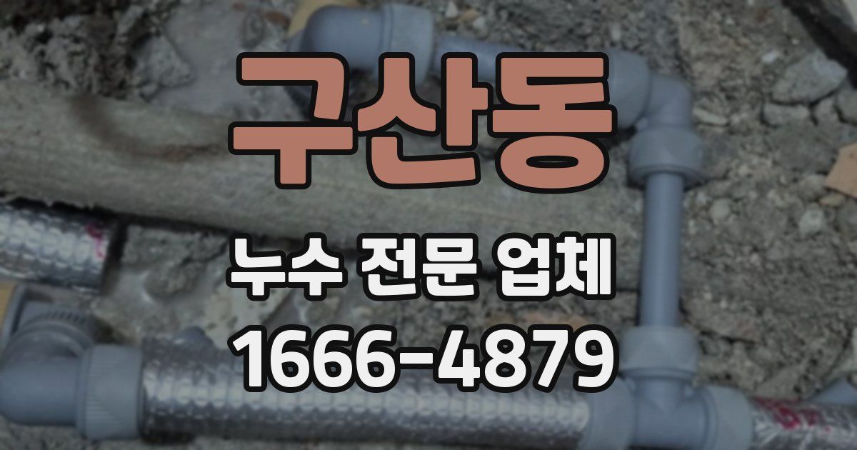 구산동 누수 전문 업체