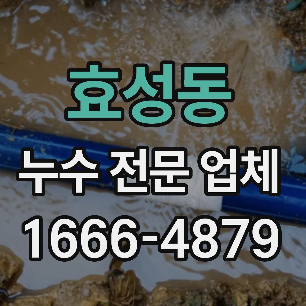 효성동 누수 전문 업체
